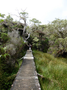 camino_de_vuelta