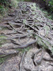 unos_cuantos_baches