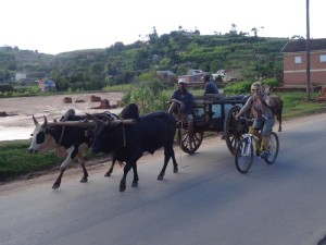 un_dia_en_bici