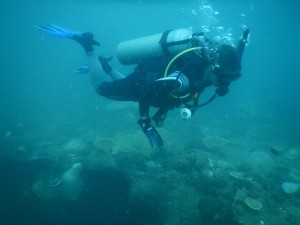 Carina_sobre_la_cubierta_del_Morazan