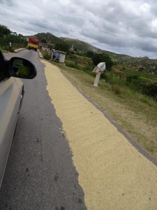 0478._secando_el_arroz