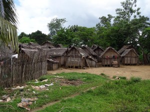 0490._camino_de_Manakara