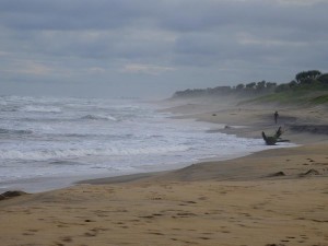 0531._playa_Manakara 