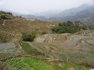 0748._Sapa
