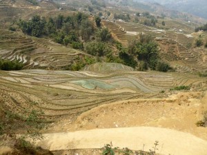 0761._Sapa