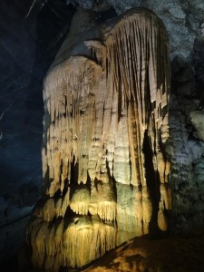 0851._phong_nha 