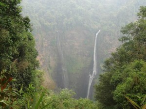 1044. cascadas 