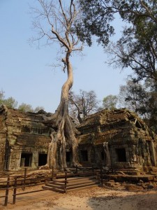 1157. templo Ta Prohm