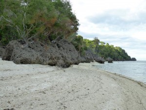 1772. Kangusuan Beach  