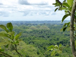 1838. Chocolate Hills  