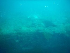 2100. buceando el Akitsushima 