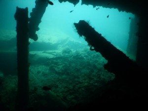 2110. buceando el Okikawa Maru  