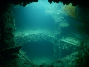 2113. buceando el Okikawa Maru  
