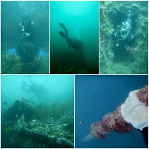 2124. buceando el Okikawa Maru  