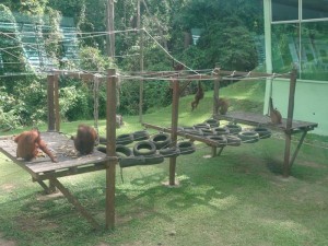 2339. en el Centro de Guarderia 
