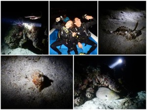 2750. buceo nocturno  